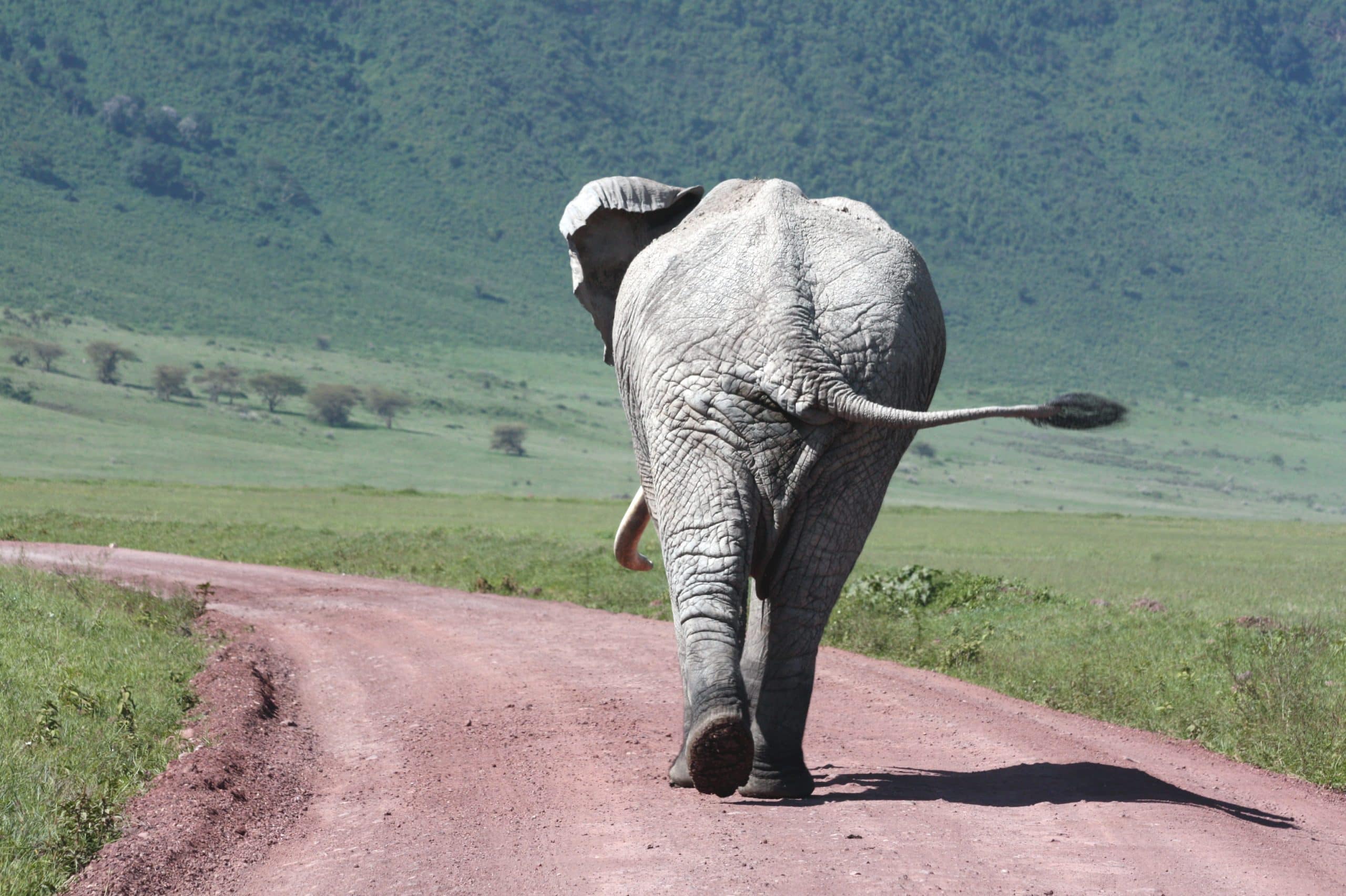 Best motorbike motorcycle adventure off-road tours safaris Tanzania 4strokemaasai Limited Serengeti National parks