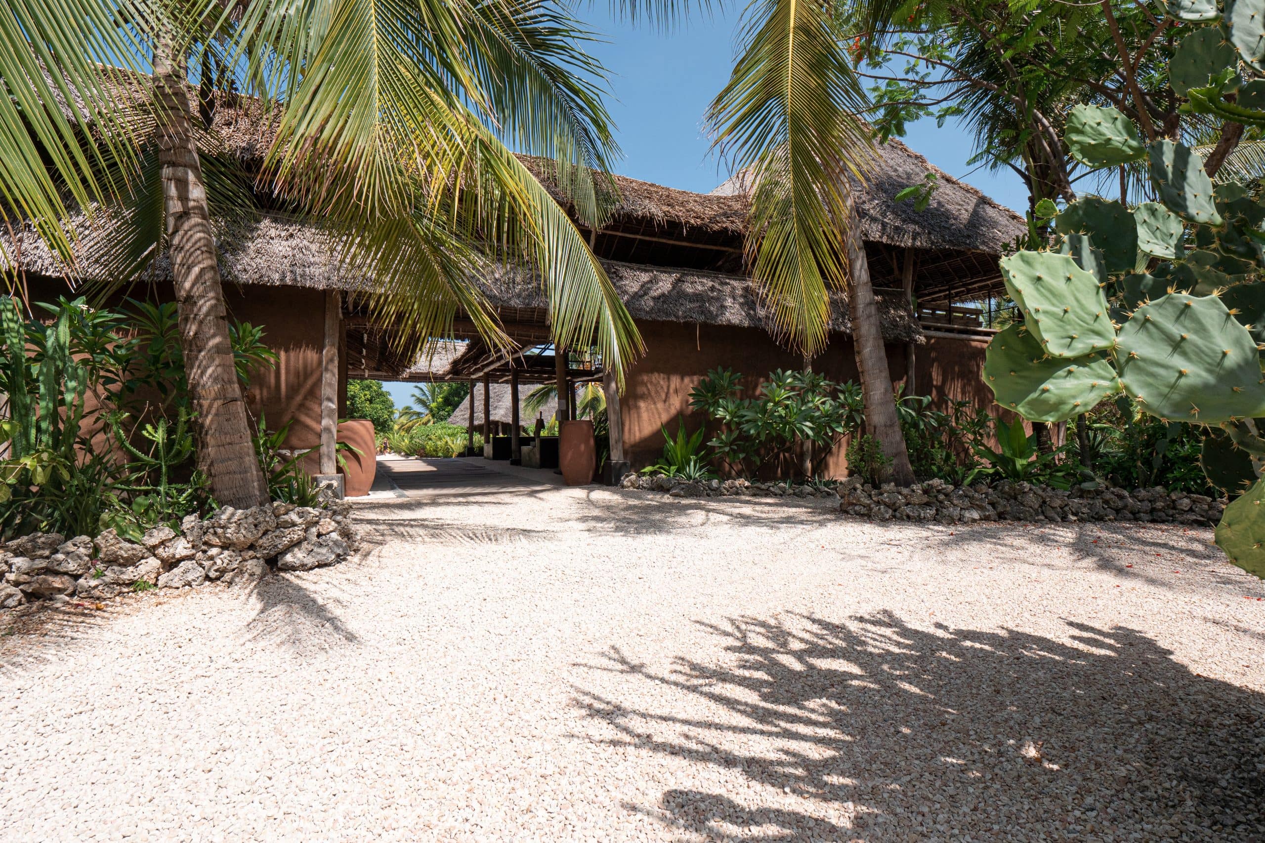 tours safaris Tanzania 4strokemaasai Limited