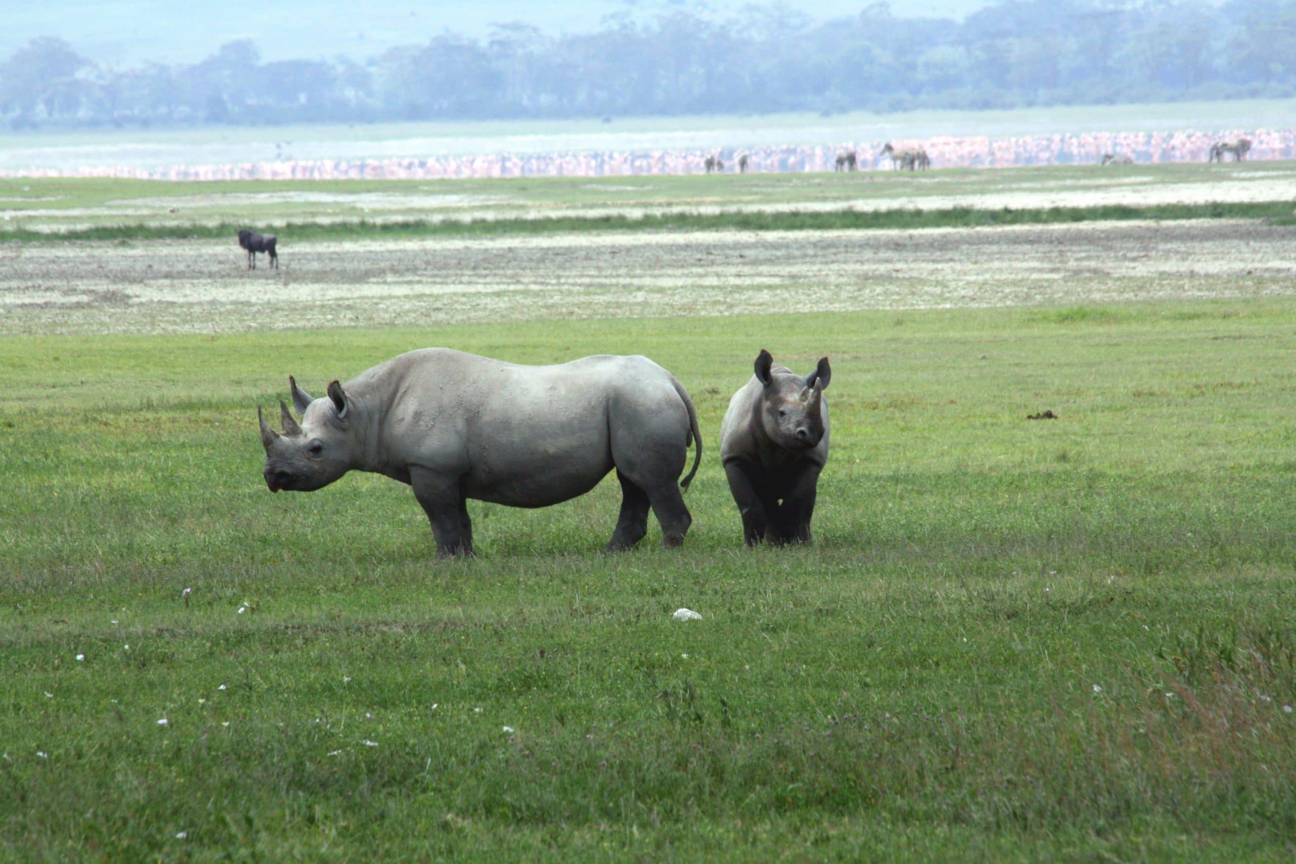 Best motorbike motorcycle adventure off-road tours safaris Tanzania 4strokemaasai Limited Serengeti National parks