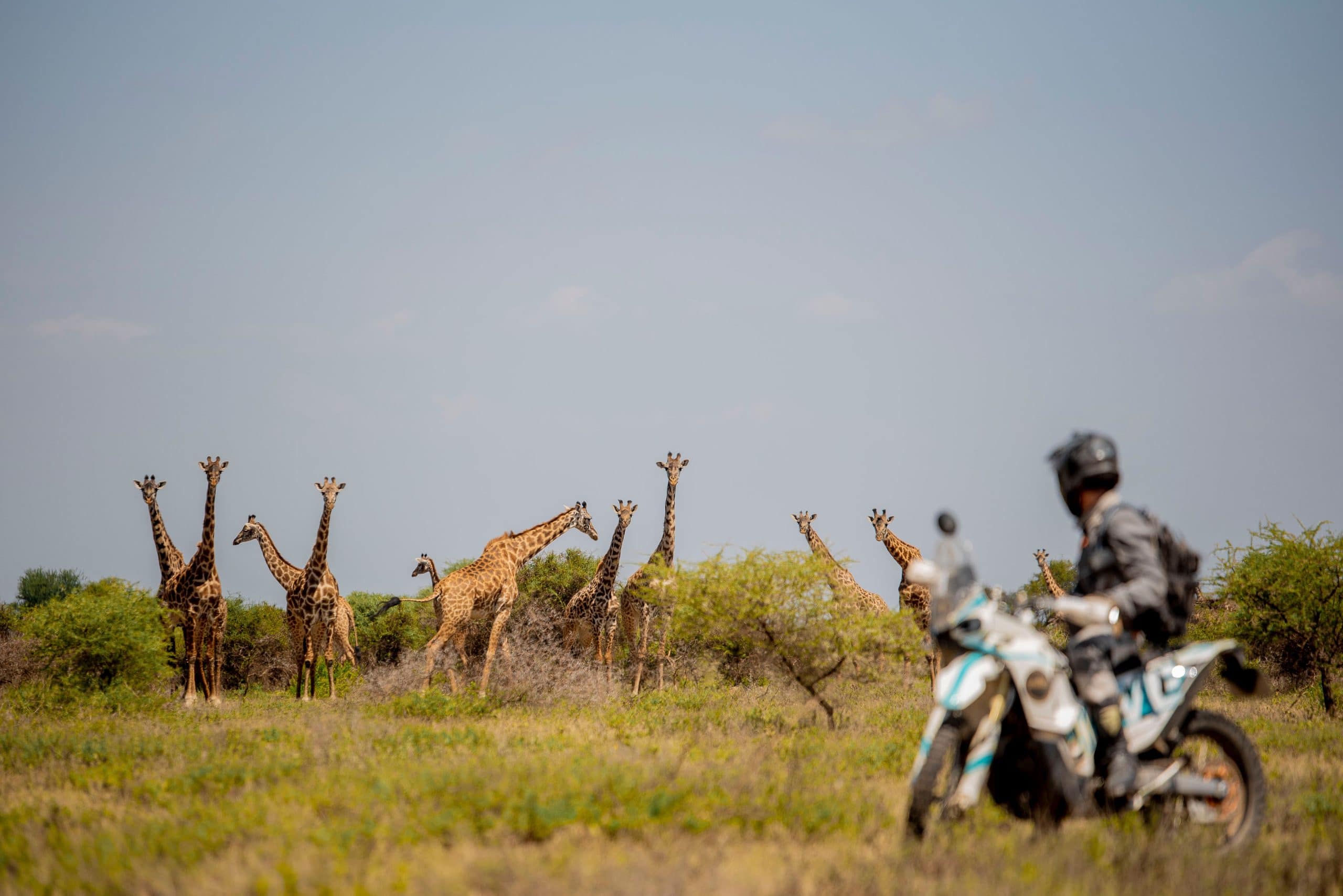 Day Trip to Chemka Motorbike Adventures and Tours Tanzania 4StrokeMaasai Limited. Best motorbike motorcycle adventure off-road tours safaris Tanzania 4strokemaasai Limited Weekend Riding Home