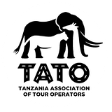 TATO 4strokemaasai