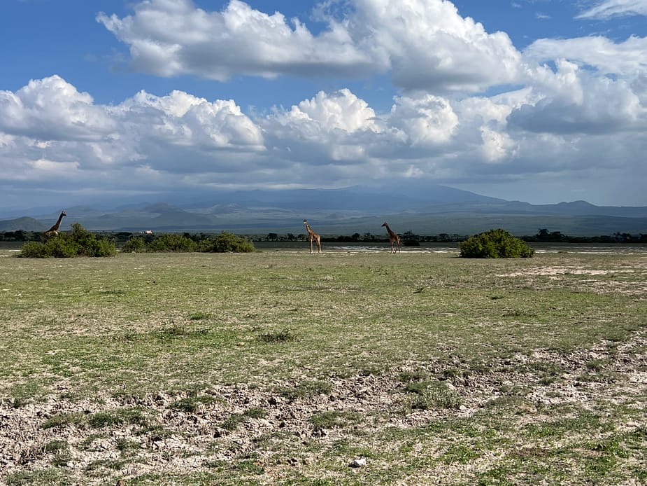 Wildlife encounters during an 11-day Tanzania motorbike tour