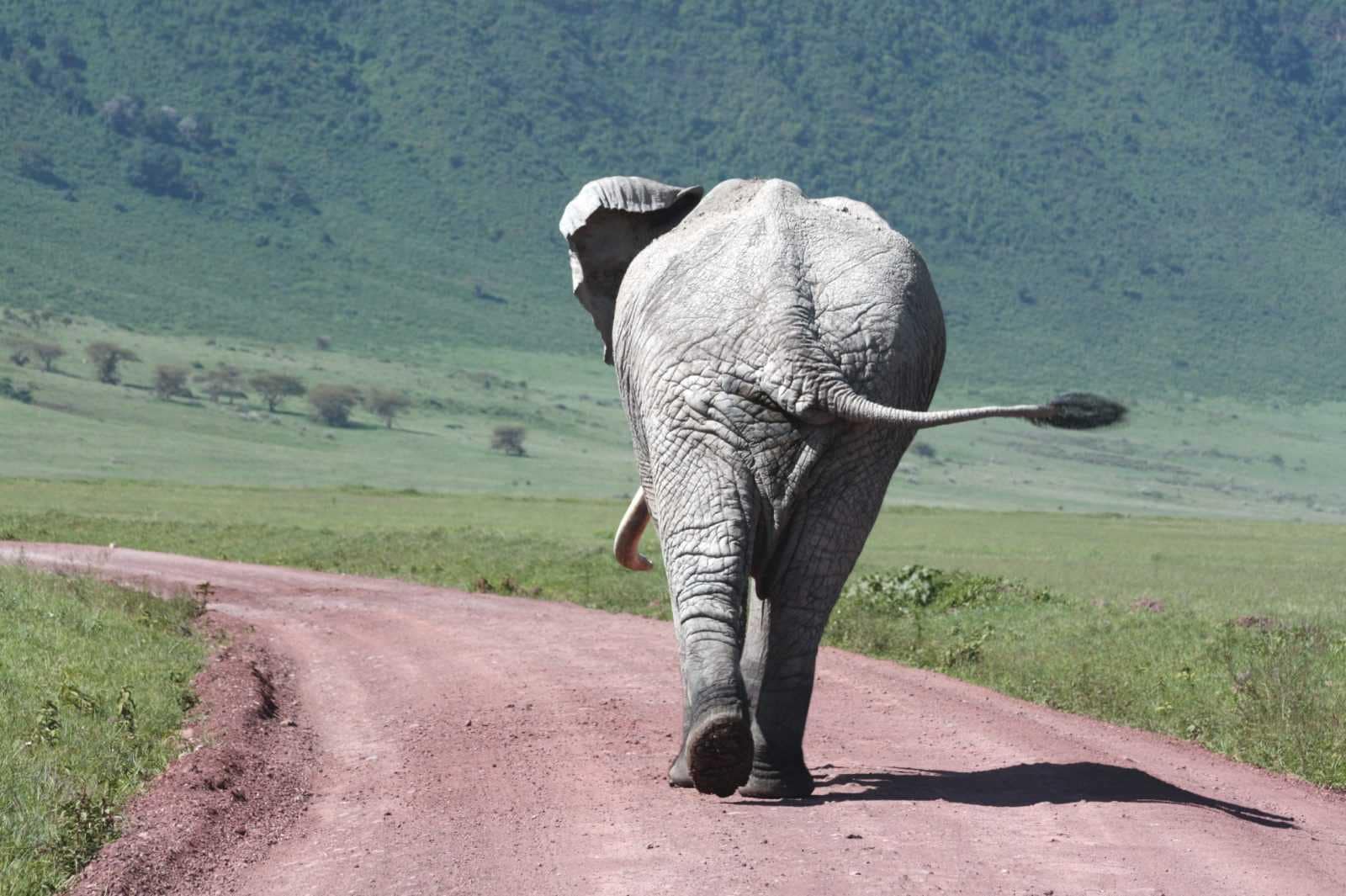 IMG_7905 Best motorbike motorcycle adventure off-road tours safaris Tanzania 4strokemaasai Limited Serengeti National parks