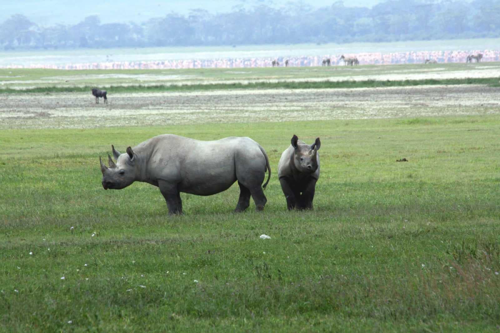 IMG_8471 Best motorbike motorcycle adventure off-road tours safaris Tanzania 4strokemaasai Limited Serengeti National parks