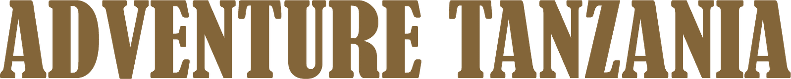 ADVENTURE TZ BROWN Adv brown Motorbike Adventures and Tours Tanzania 4StrokeMaasai Limited. Best motorbike motorcycle adventure off-road tours safaris Tanzania 4strokemaasai Limited Weekend Riding Home