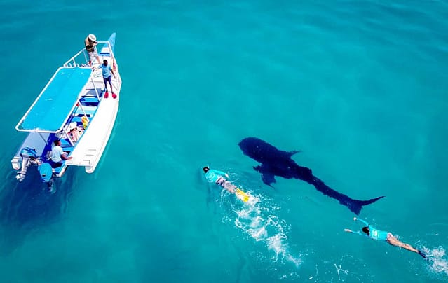 motorbikeke motorcycle adventure off-road tours safaris Tanzania 4strokemaasai Limited Experience Zanzibar