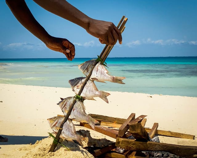 tours safaris Tanzania 4strokemaasai Limited Fish