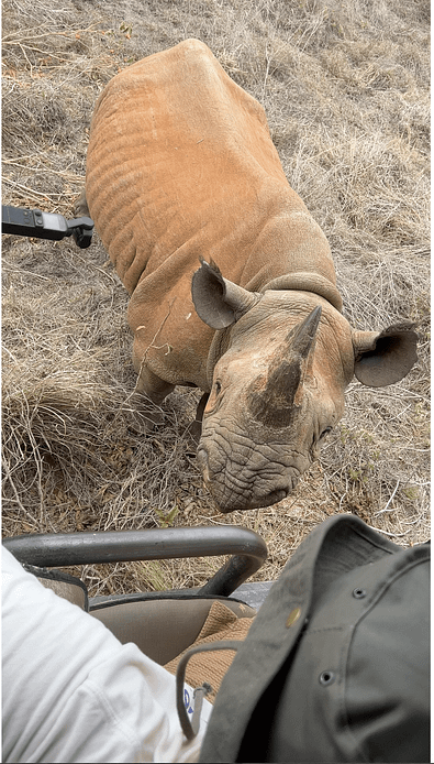 Wildlife encounters during an 11-day Tanzania motorbike tour
