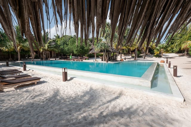 tours safaris Tanzania 4strokemaasai Limited Zanzibar Island